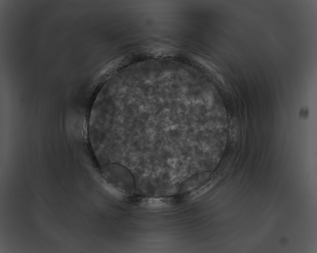 X0000095510622200801041201