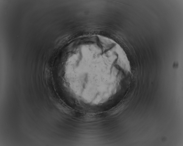 X0000095510623200801041201