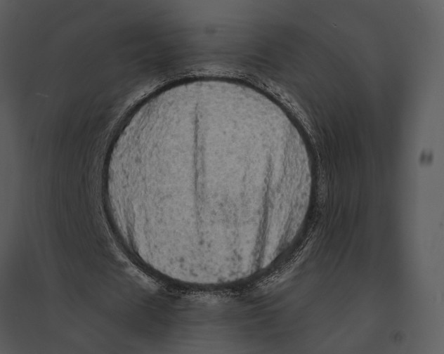 X0000095510625200801041200