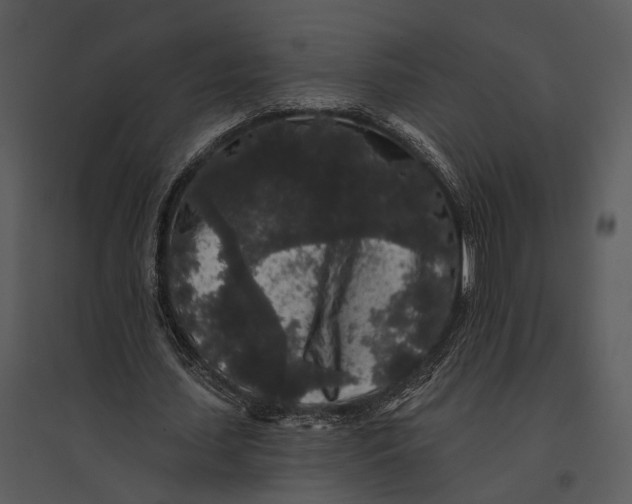 X0000095510627200801041200