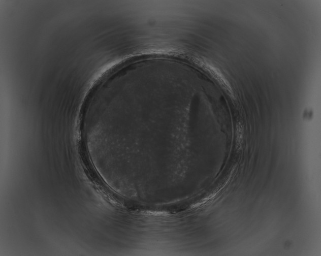 X0000095510628200801041200
