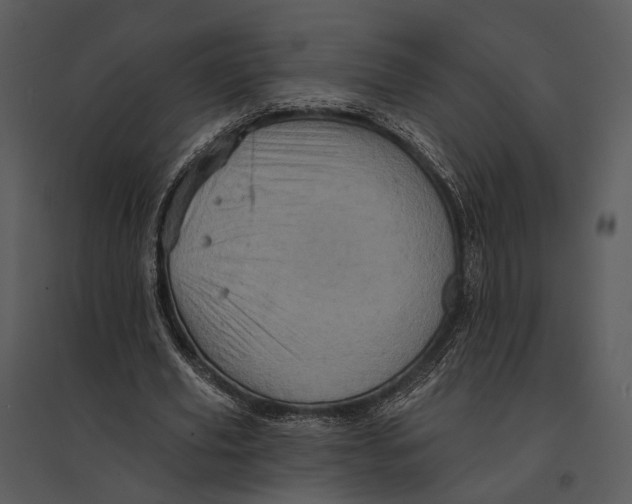 X0000095510629200801041201