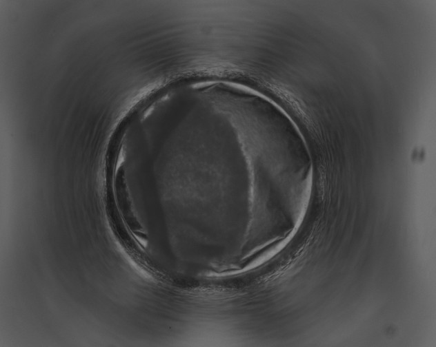 X0000095510630200801041201