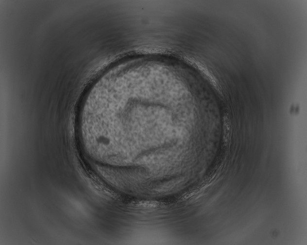 X0000095510631200801041201