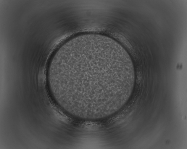 X0000095510632200801041201