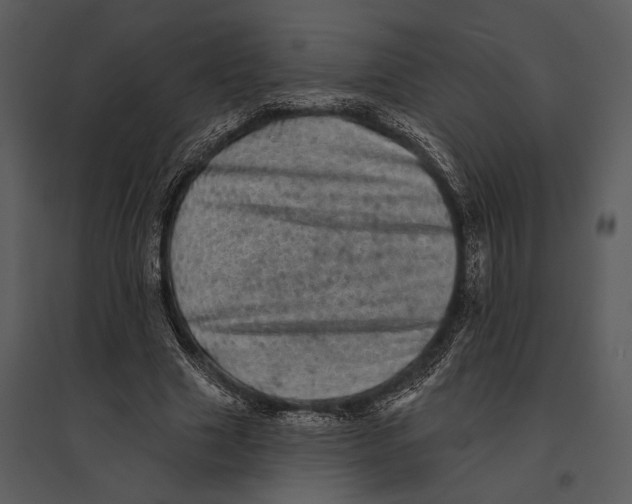 X0000095510633200801041201