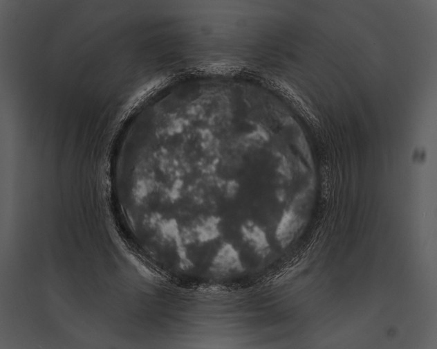 X0000095510634200801041201