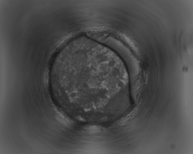 X0000095510637200801041201