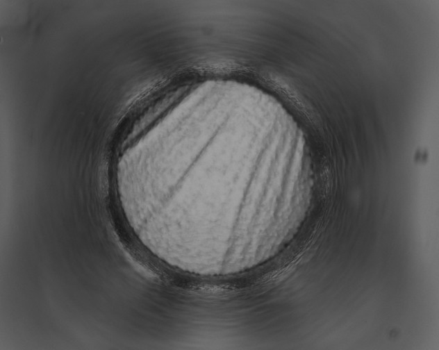 X0000095510638200801041201