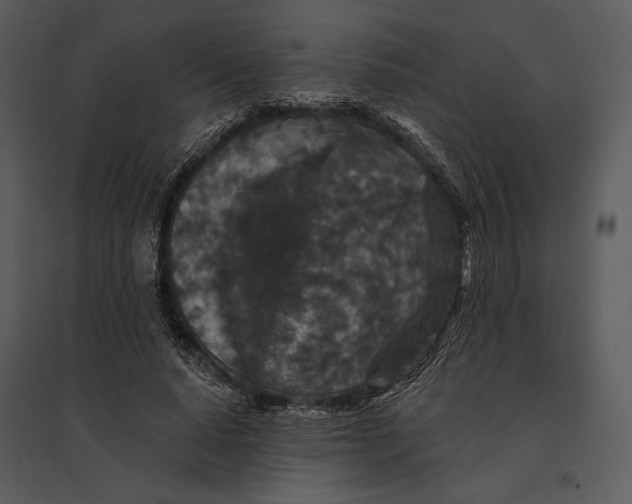 X0000095510640200801041201