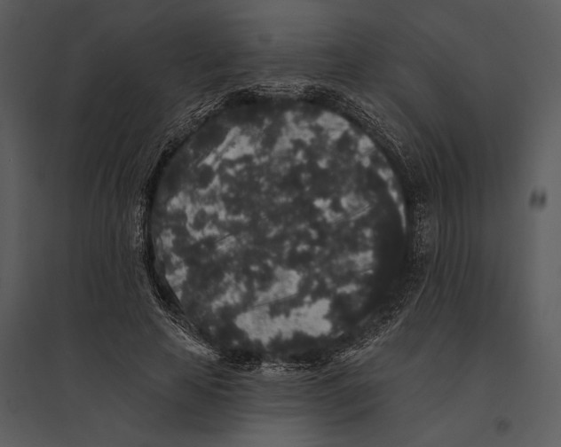 X0000095510641200801041201