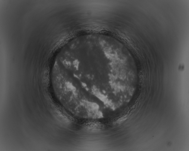 X0000095510642200801041201