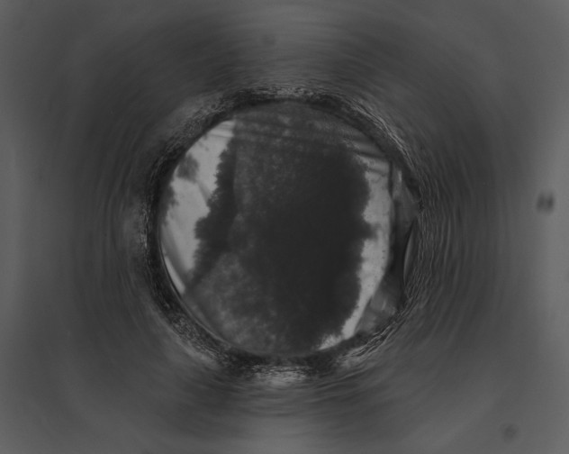 X0000095510643200801041201