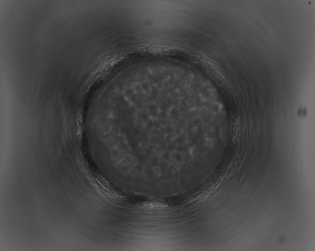 X0000095510644200801041201