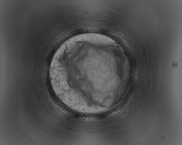 X0000095510645200801041201