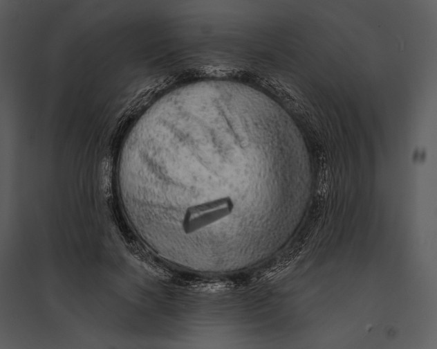 X0000095510646200801041201