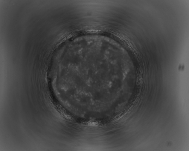 X0000095510647200801041201