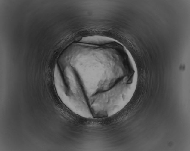 X0000095510649200801041201