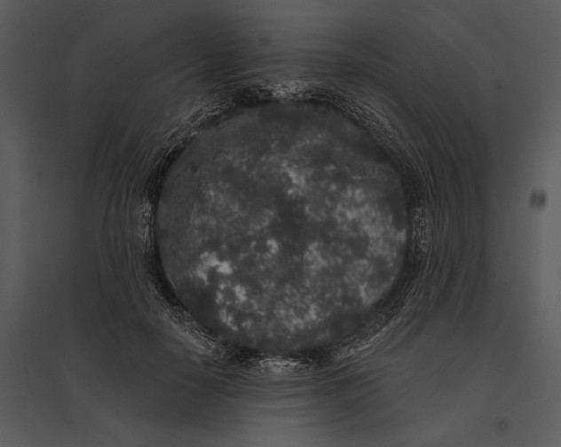 X0000095510650200801041201