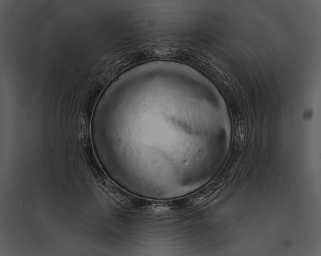 X0000095510651200801041201