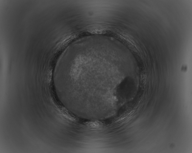 X0000095510652200801041201