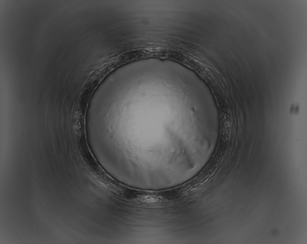 X0000095510654200801041201