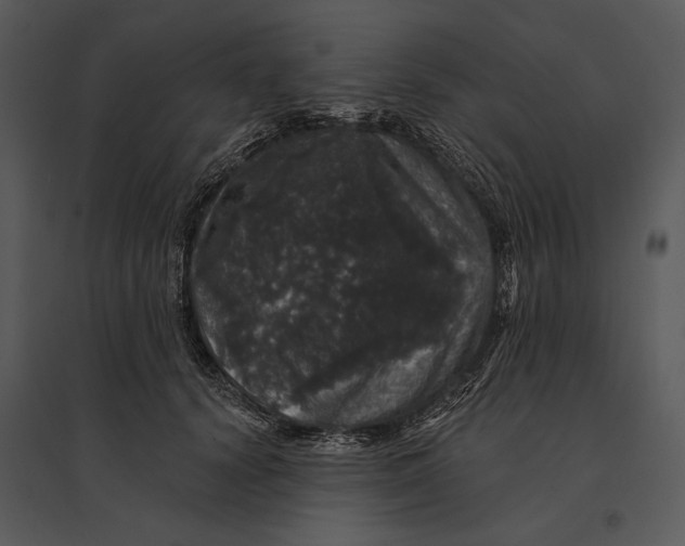 X0000095510656200801041201