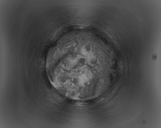 X0000095510657200801041201