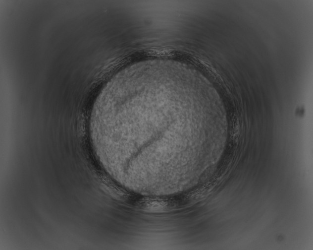 X0000095510658200801041201