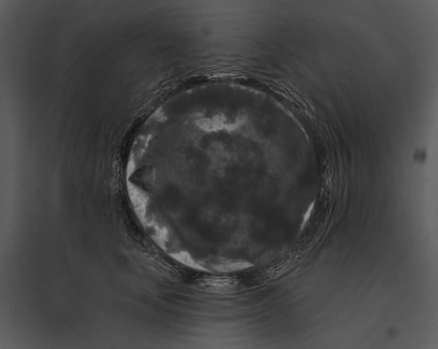 X0000095510659200801041201