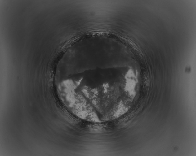 X0000095510661200801041201