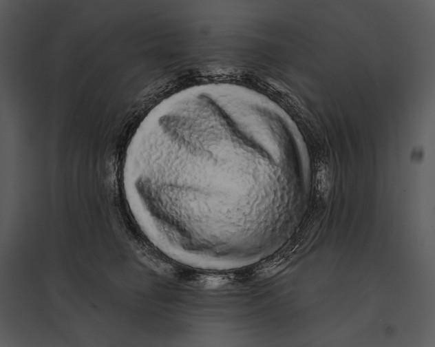 X0000095510662200801041201