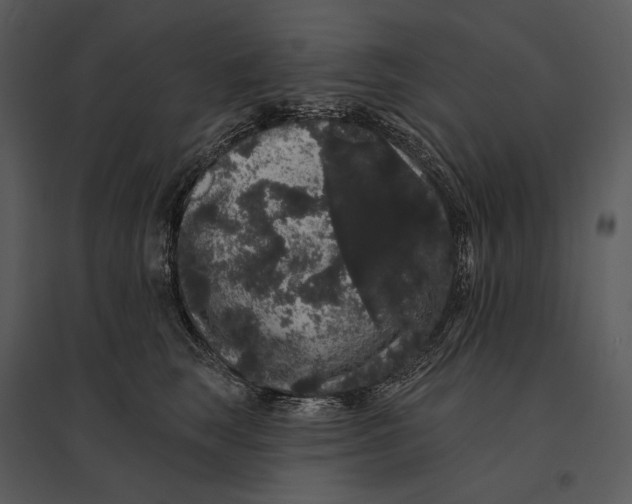 X0000095510663200801041201