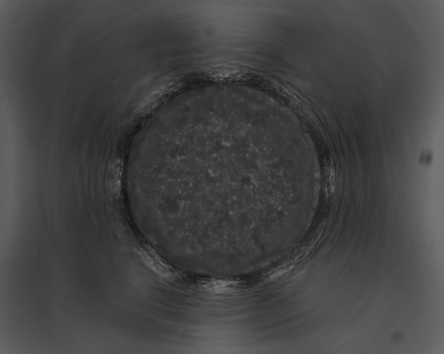 X0000095510664200801041201