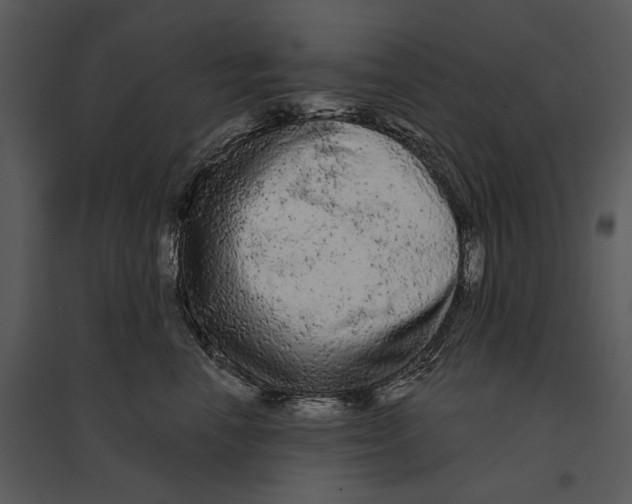 X0000095510666200801041201