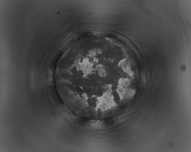 X0000095510667200801041201