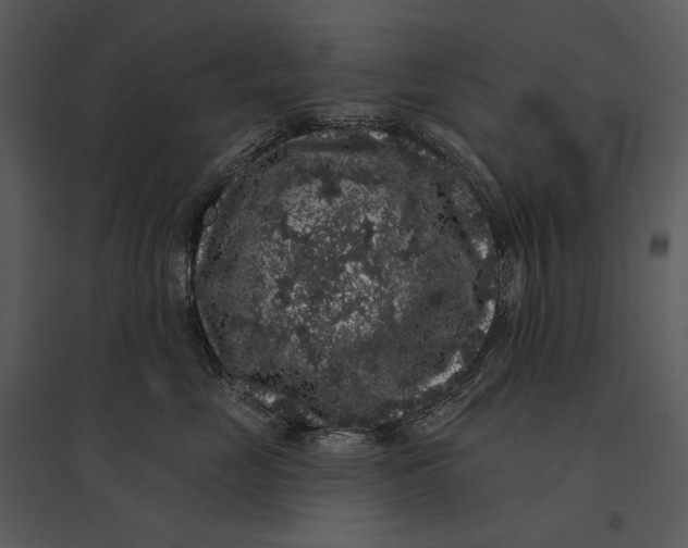 X0000095510669200801041201