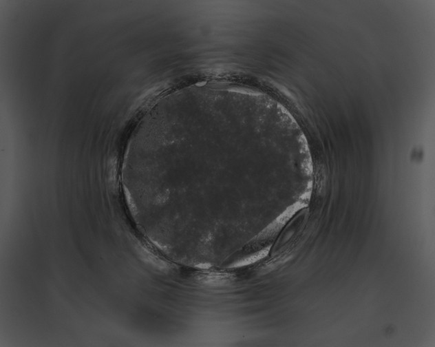 X0000095510670200801041201