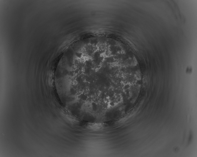 X0000095510671200801041201