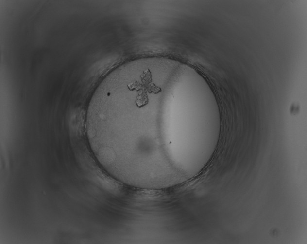 X0000095510672200801041201