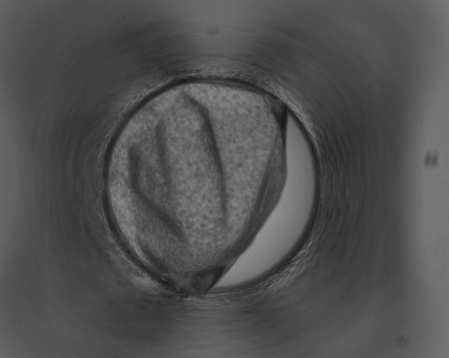 X0000095510673200801041200