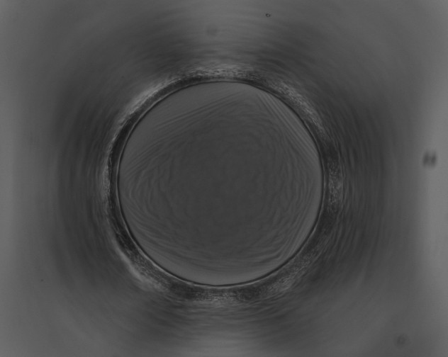 X0000095510674200801041200