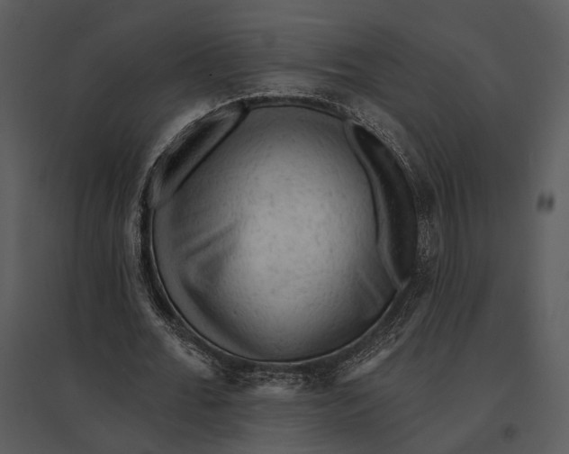 X0000095510676200801041200