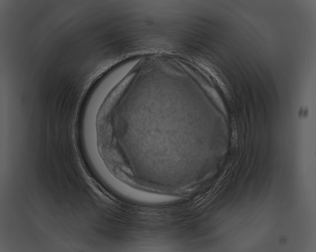 X0000095510677200801041200