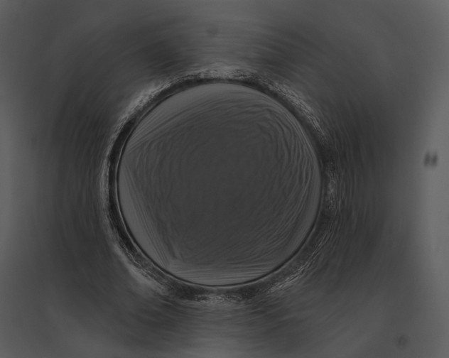 X0000095510678200801041200