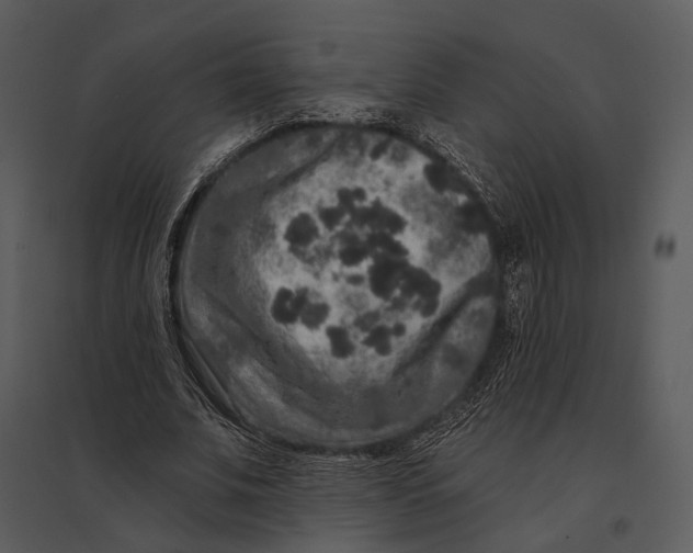 X0000095510679200801041200