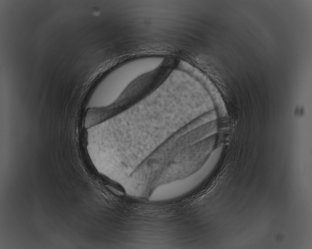 X0000095510681200801041200