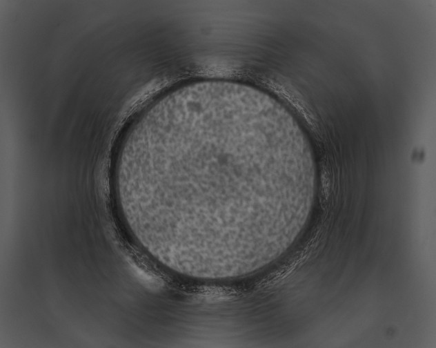 X0000095510682200801041200