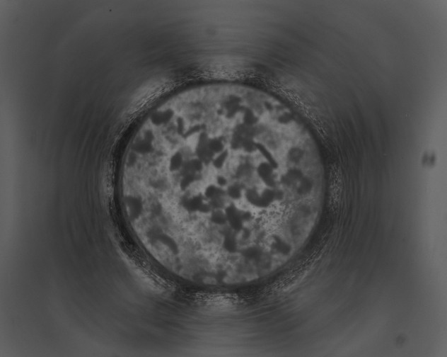 X0000095510683200801041200