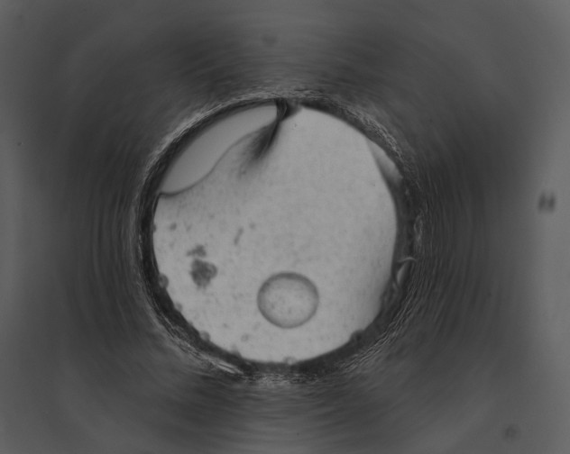 X0000095510684200801041200